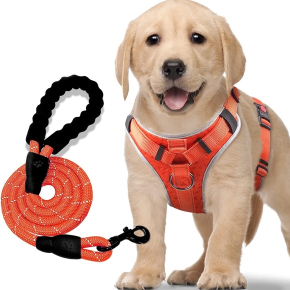 Dog Vest Harness with A 5ft Dog Leash, (Size S) for Large Dogs
